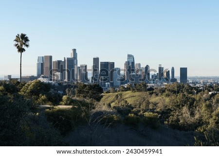 Morning view of downtown Los Angeles skyline with lone palm tree.
