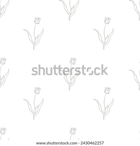 pattern with tulip drawn in vector, spring bulbous flower. Royalty-Free Stock Photo #2430462257
