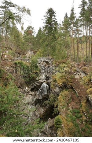An old stone bridge with an archaic allure spans a vigorous waterfall, nestled within a serene coniferous forest, echoing the harmonious blend of nature and historic architecture. Royalty-Free Stock Photo #2430467105