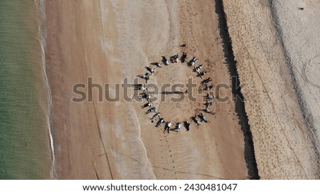 Beach bliss: A diverse group stands in line, casting playful shadows on golden sands. Human connection, captured from above. Ideal for lifestyle concepts. Royalty-Free Stock Photo #2430481047