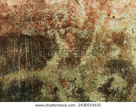 Cement walls have mold, scratches, cracks, and uneven color.  Looks like beautiful art picture.