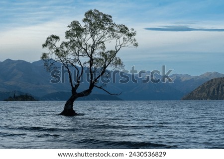 A long exposure photography of lonely tree standing in Lake Wanaka, one of the iconic tourism landmark called "That Wānaka Tree" in New Zealand at the sunset sky.