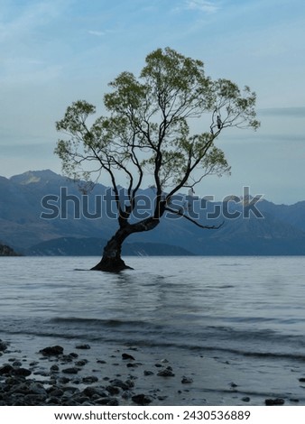 A long exposure photography of lonely tree standing in Lake Wanaka, one of the iconic tourism landmark called "That Wānaka Tree" in New Zealand at the sunset sky.