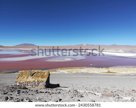 San Pablo de Lipez, Bolivia: April 27th 2019: . Eduardo Avaroa Andean Fauna National Reserve. Laguna Colorada (Red Lagoon) is a shallow salt lake in the southwest of the altiplano of Bolivia Royalty-Free Stock Photo #2430558781