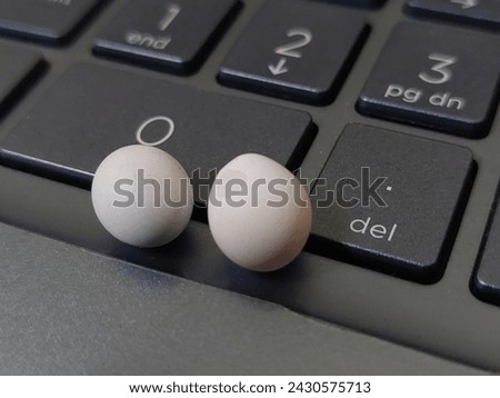 two egg ball house lizard