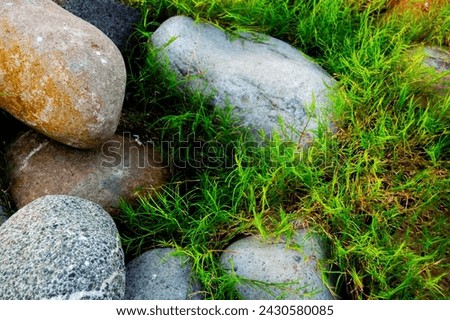 An Aesthetic Stones and Grasses Wallpaper Desktop Background