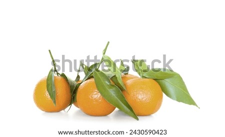 
Citrus, Desktop backgrounds, Nature image