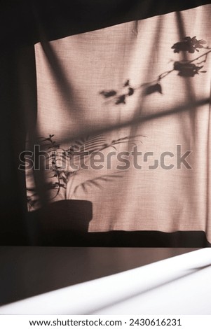 Background with shadows shining through a window with sunlight  streaming in.