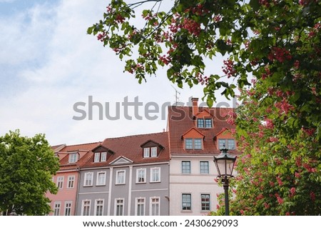 spring trip to Europe. Travel and German sightseeing locations. scenic view to facade of old historic houses somewhere in Erfurt city, Traditional half-timbered houses makes cozy and fairy tail mood