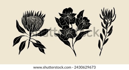 Set of flat vector king protea, alstroemeria, leucadendron Royalty-Free Stock Photo #2430629673