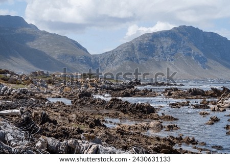rocky shore on the Betty' Bay coastline