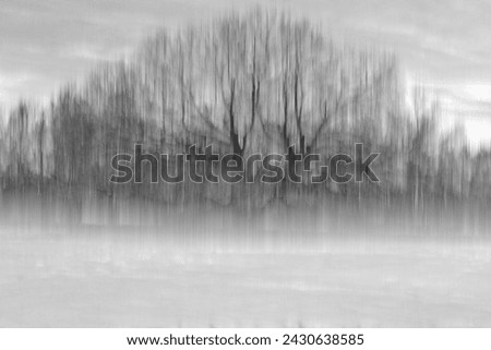 Big tree in winter abstract blurred