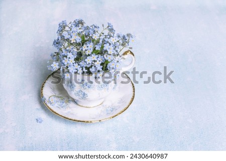 Forget-me-not flowers in small vintage antique porcelain tea cup decorated with forget-me-not blossoms isolated on light blue color background, fresh forget me nots, copy space Royalty-Free Stock Photo #2430640987