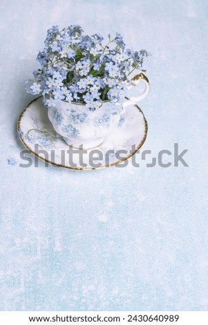 Forget-me-not flowers in small vintage antique porcelain tea cup decorated with forget-me-not blossoms isolated on light blue color background, fresh forget me nots, copy space Royalty-Free Stock Photo #2430640989
