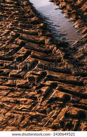 Tractor tire track imprint pattern in countryside dirt road mud, selective focus Royalty-Free Stock Photo #2430649521
