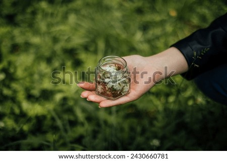 collecting flowers in small glass jarr