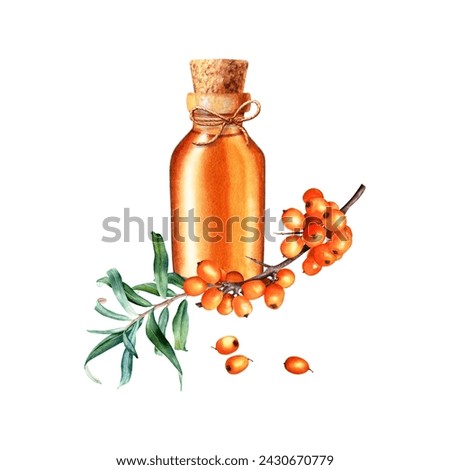 Composition with sea buckthorn and glass oil bottle, jar with cork and decorative rope jute string. Hand drawn watercolor illustration isolated on white. For clip art template label