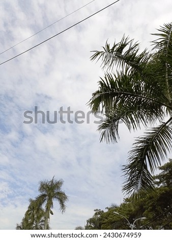 beautiful blue sky photo in Indonesia 2