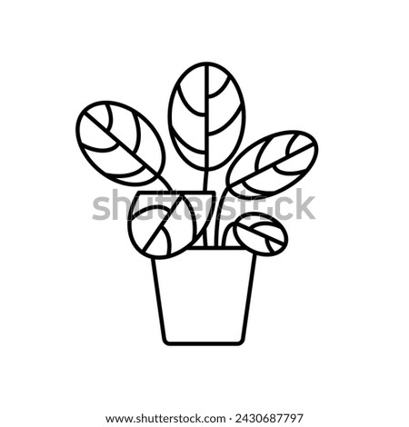 Calathea, line icon. Flowering tropical houseplant, linear illustration. Foliage, indoor plant, pottery pot. Pictogram, editable stroke, minimalist sign Royalty-Free Stock Photo #2430687797