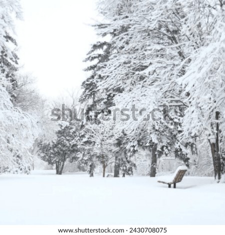 trees cover with white snow and a bunch 
