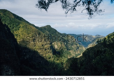 Levada do Caldeirão - hiking path in the forest in Levada do Caldeirao Verde Trail - tropical scenery on Madeira island, Santana, Portugal.
