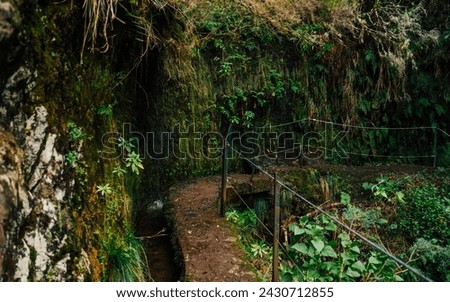 Levada do Caldeirão - hiking path in the forest in Levada do Caldeirao Verde Trail - tropical scenery on Madeira island, Santana, Portugal.