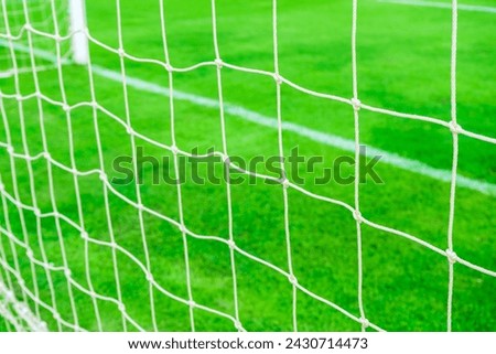 Soccer or football net on green grass in background.