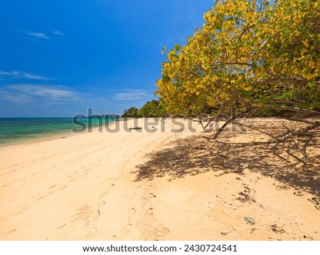 White sand beach in a paradise island of Madagascar. November 2023
