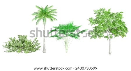 Lonicera pileata,Lodoicea maldivica,Cocos nucifera,Citrus limon trees and shrubs in summer isolated on white background. Forestscape. High quality clipping mask. Forest and green foliage