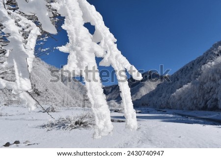 Winter at the foot of the Caucasus Mountains