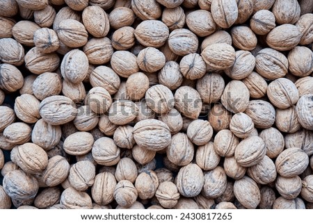 Walnuts with shells (filling the picture). Background of fresh walnuts.