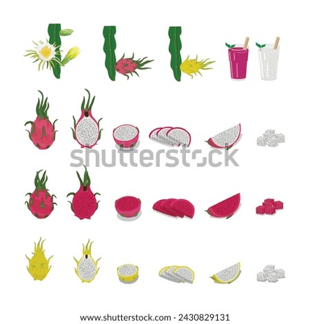 Set of Dragon Fruit flat vector isolated on white background. Whole and sliced dragon fruit. Pitaya. Tropical fruits.