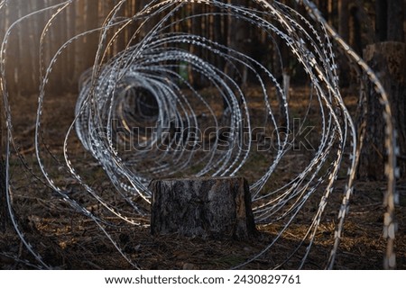 
Border wire fence trough pine forest. protecting the state's border from illegal migration and russian invasion. defending and regaining occupied territory 
 Royalty-Free Stock Photo #2430829761