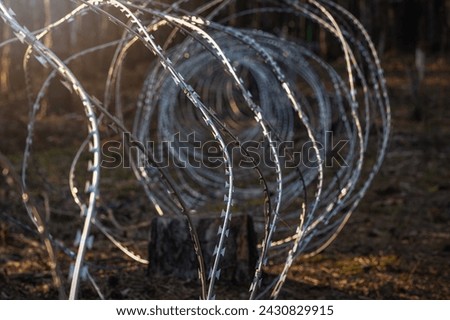 
Border wire fence trough pine forest. protecting the state's border from illegal migration and russian invasion. defending and regaining occupied territory 
 Royalty-Free Stock Photo #2430829915