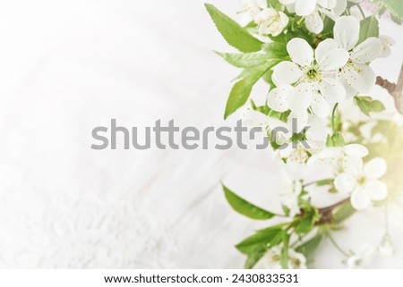 Spring Easter background. Passover blooming white apple or cherry blossom on white wooden background. Happy Passover background. World environment day. Easter, Birthday, womens day holiday. Mock up.