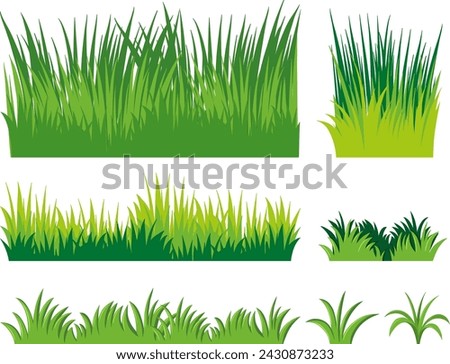 Different Doodles Grass in vector