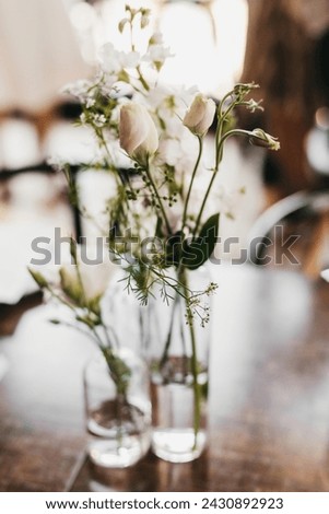 white roses in a clear glass vase on a wooden table Royalty-Free Stock Photo #2430892923