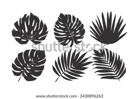 Set of Tropical leaves. silhouette illustration