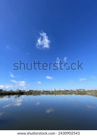 A pond at San Joaquin Wildlife Sanctuary in Irvine, California on a clear day Royalty-Free Stock Photo #2430902543
