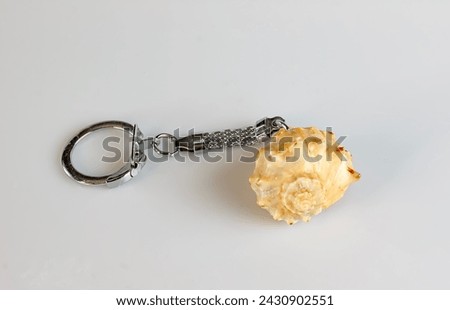 Keychain with rapana shell on a white background.
