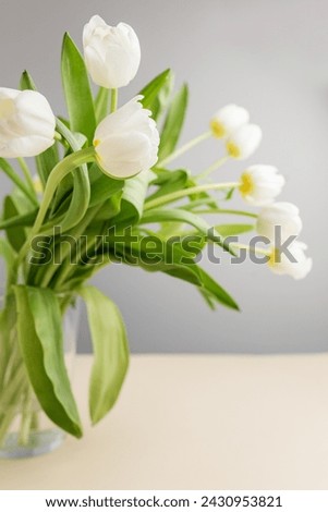 Close-up of vibrant white tulips in clear glass vase, beautifully arranged on beige tabletop with soft-focus background. Royalty-Free Stock Photo #2430953821
