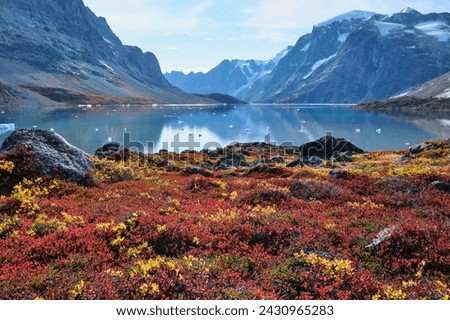 Reds and yellows of Autumn vegetation in the Tundra near Dronning Marie Dal are the foreground to calm waters of fjord near Skoldungen, East Greenland. Royalty-Free Stock Photo #2430965283