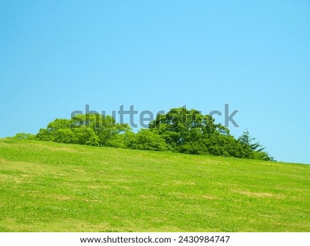 A large shrine tree seen over the bank and the Edogawa bank in early summer with weeds removed. Royalty-Free Stock Photo #2430984747
