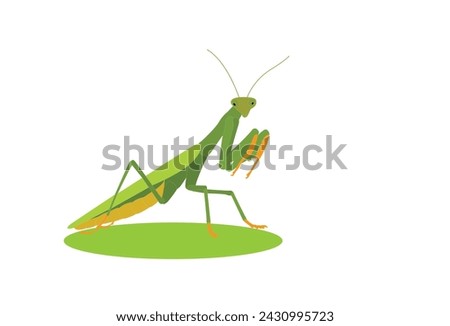 Praying mantis isolated on white background Vector illustration of a praying mantis