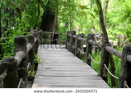 Curve wooden bridge deep in the woods. old pedestrian bridge covered with green. High quality photo