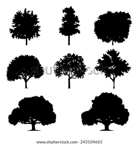 various of vector tree silhouettes in dark black color