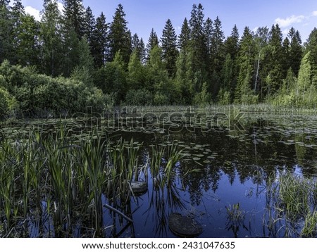 Beautiful landscape on the Vsevolozhsk Lakes, in the Leningrad region in North-West Russia