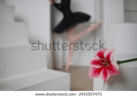 ballerina stands in a pose with a flower