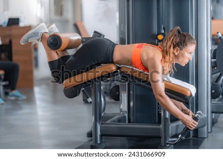 Woman exercises her legs using a lying leg curl bench, focusing on lower body strength and muscle toning. Royalty-Free Stock Photo #2431066909