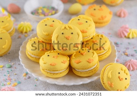 Cute Easter chick macarons. French macarons with vanilla cream and lemon curd on a concrete background. Funny food idea. Copy space